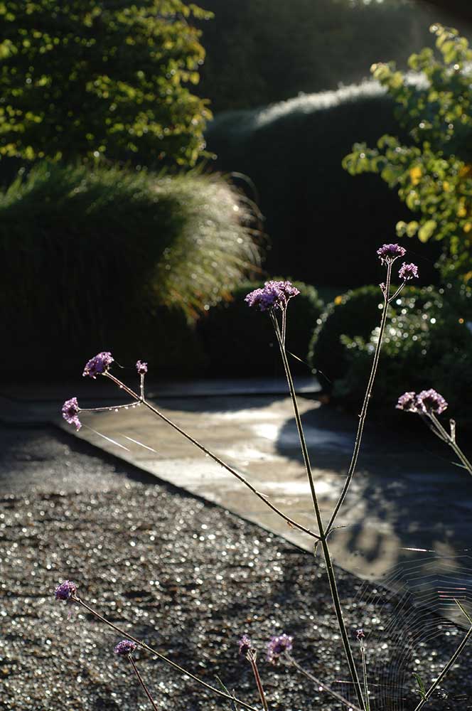 garden10 image 08