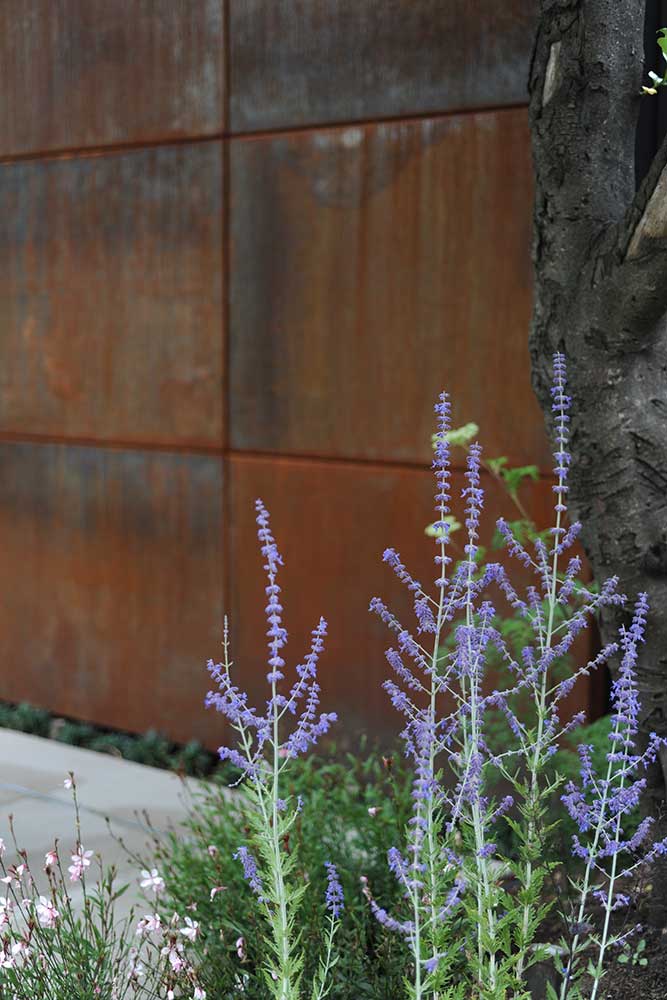 garden07 image 13