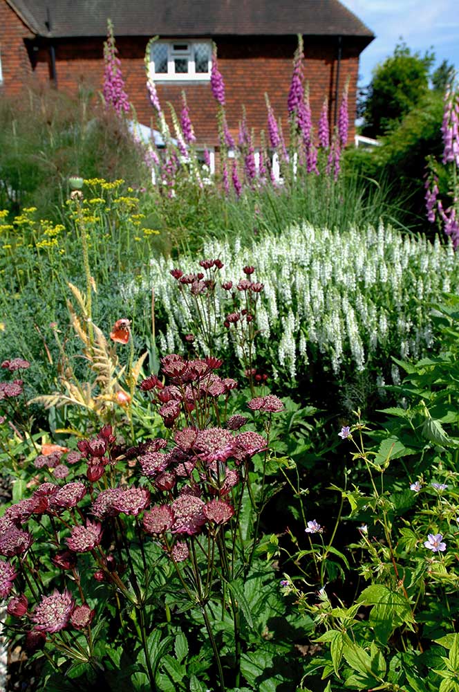 garden08 image 04