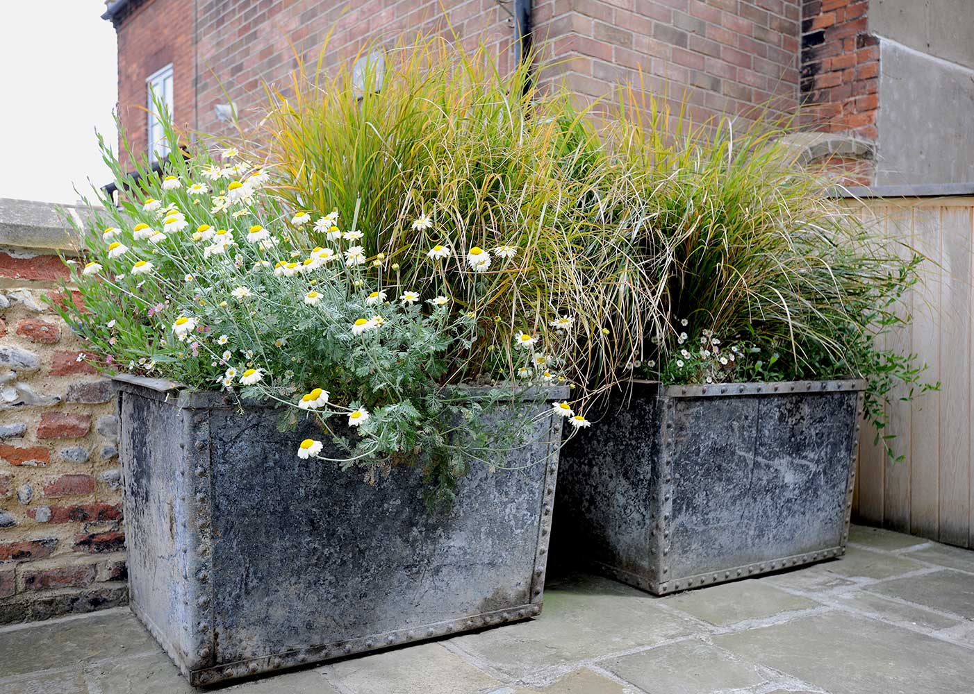 garden02 image 12