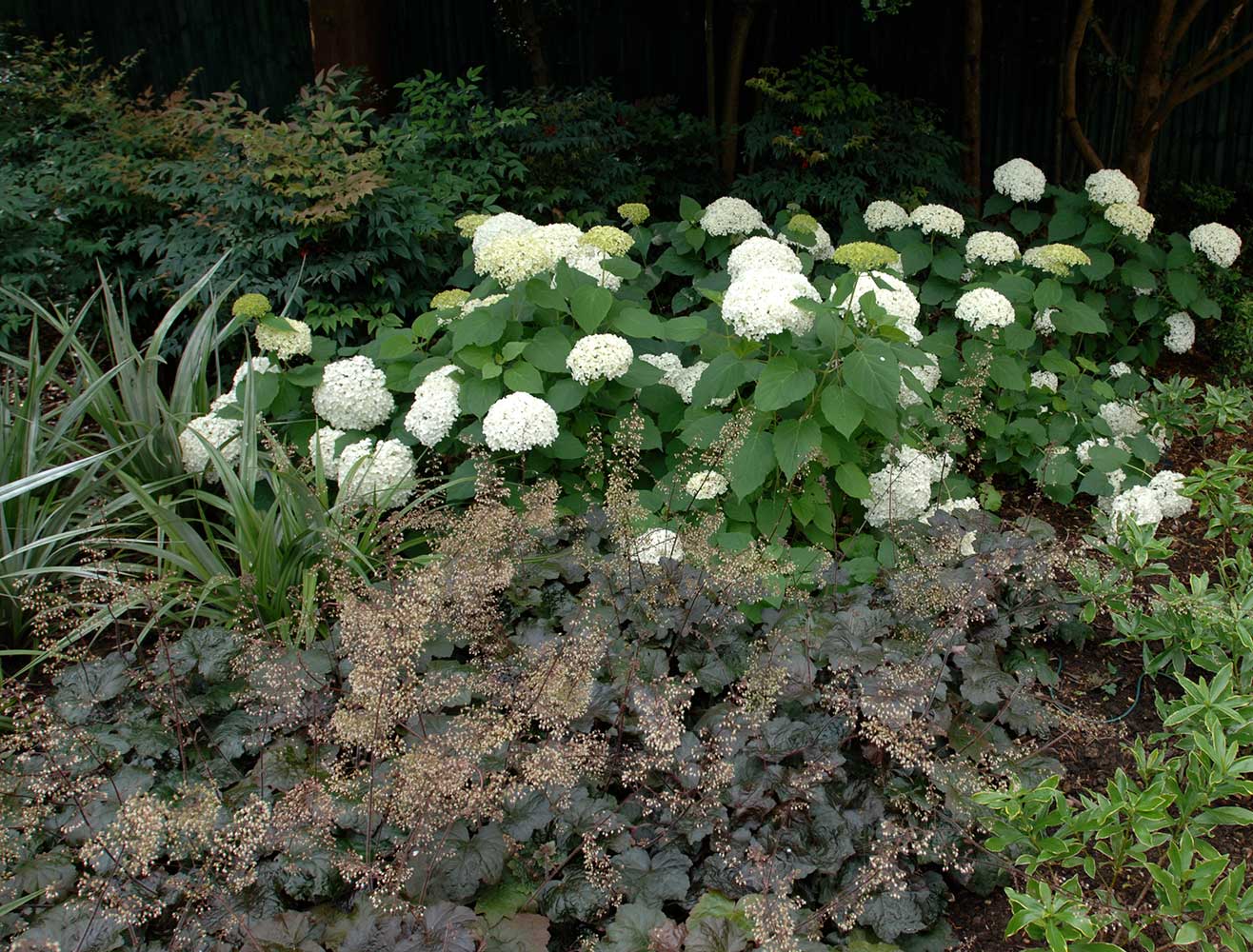 garden14 image 05